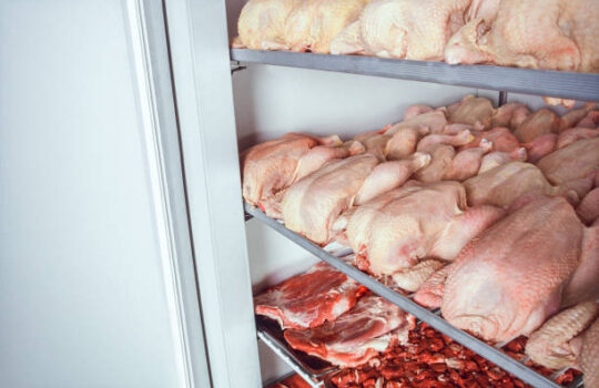 BRF Brazil Frozen Chicken