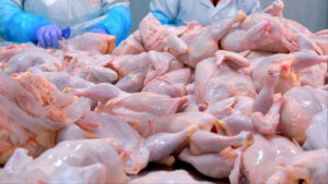 whole chicken leg cuts in bulk