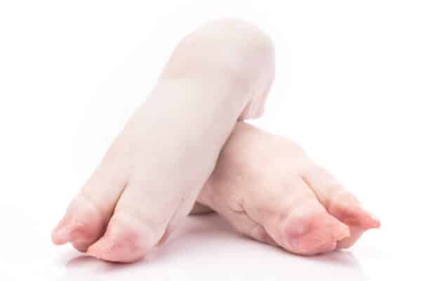 Frozen pigs feet