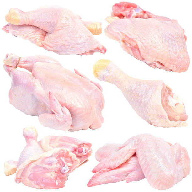 bulk frozen chicken supplier