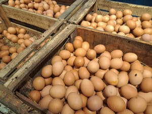 Farm Fresh Table Eggs